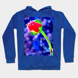 Red Rose Bud Hoodie